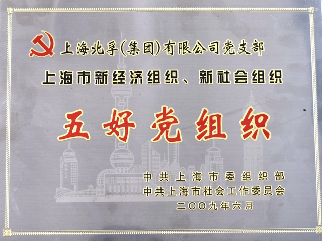 上海市两新  五好党组织